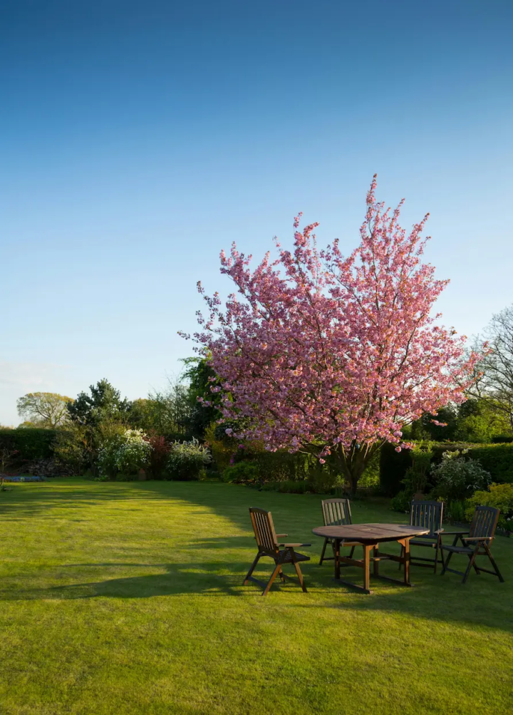 Image d'un jardin tondu
