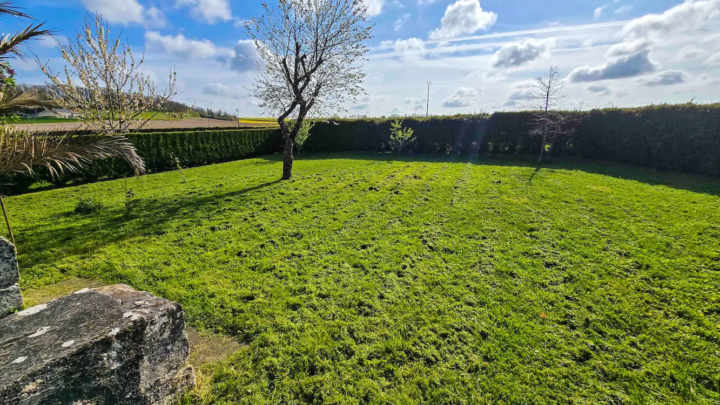 Image d'un jardin tondu