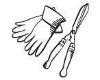 Image d'outils de jardinage